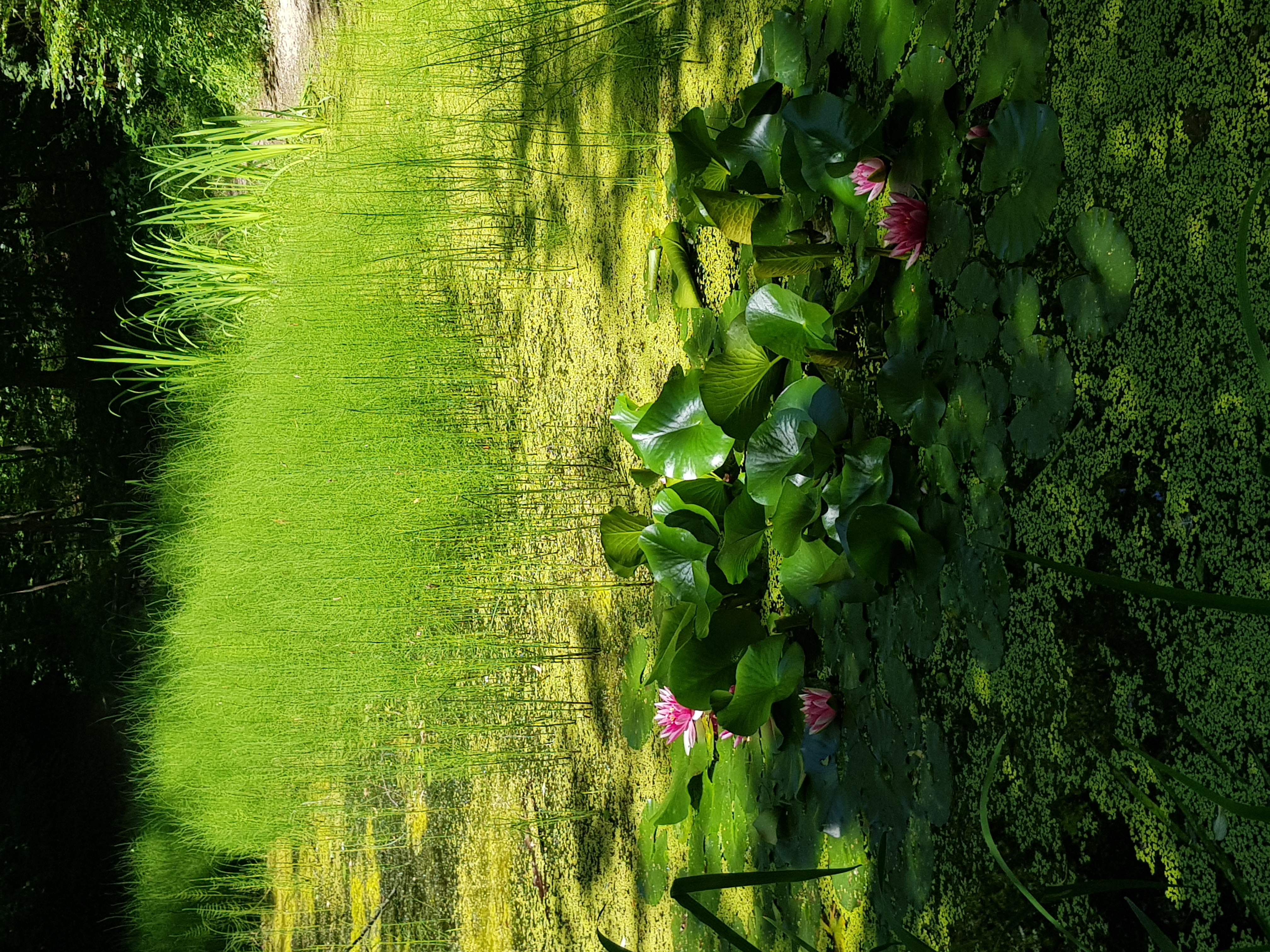 Roche de l'Ermitage - Etang de Combacervey
