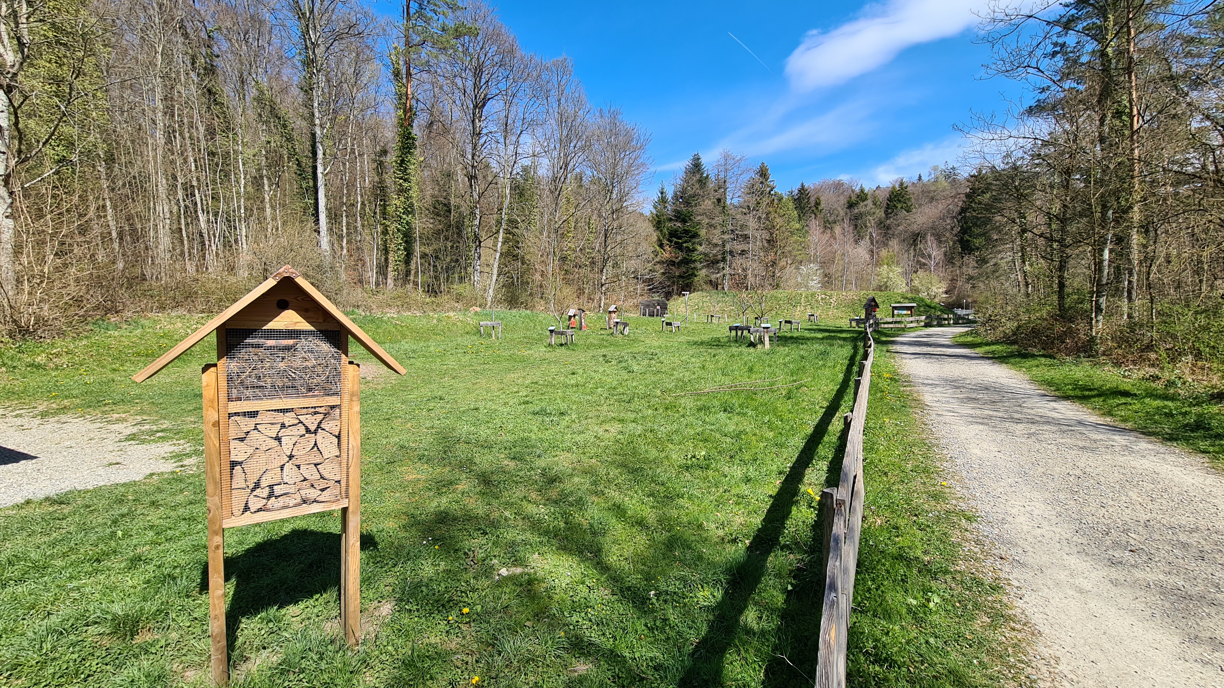 Sentier didactique des forêts de Pully