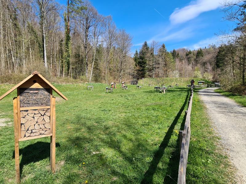 Sentier didactique des forêts de Pully