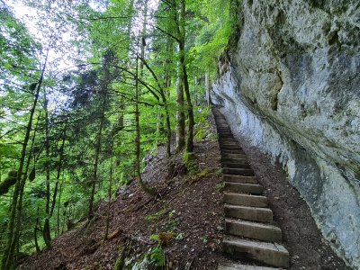 <p>La montée par les escaliers</p>