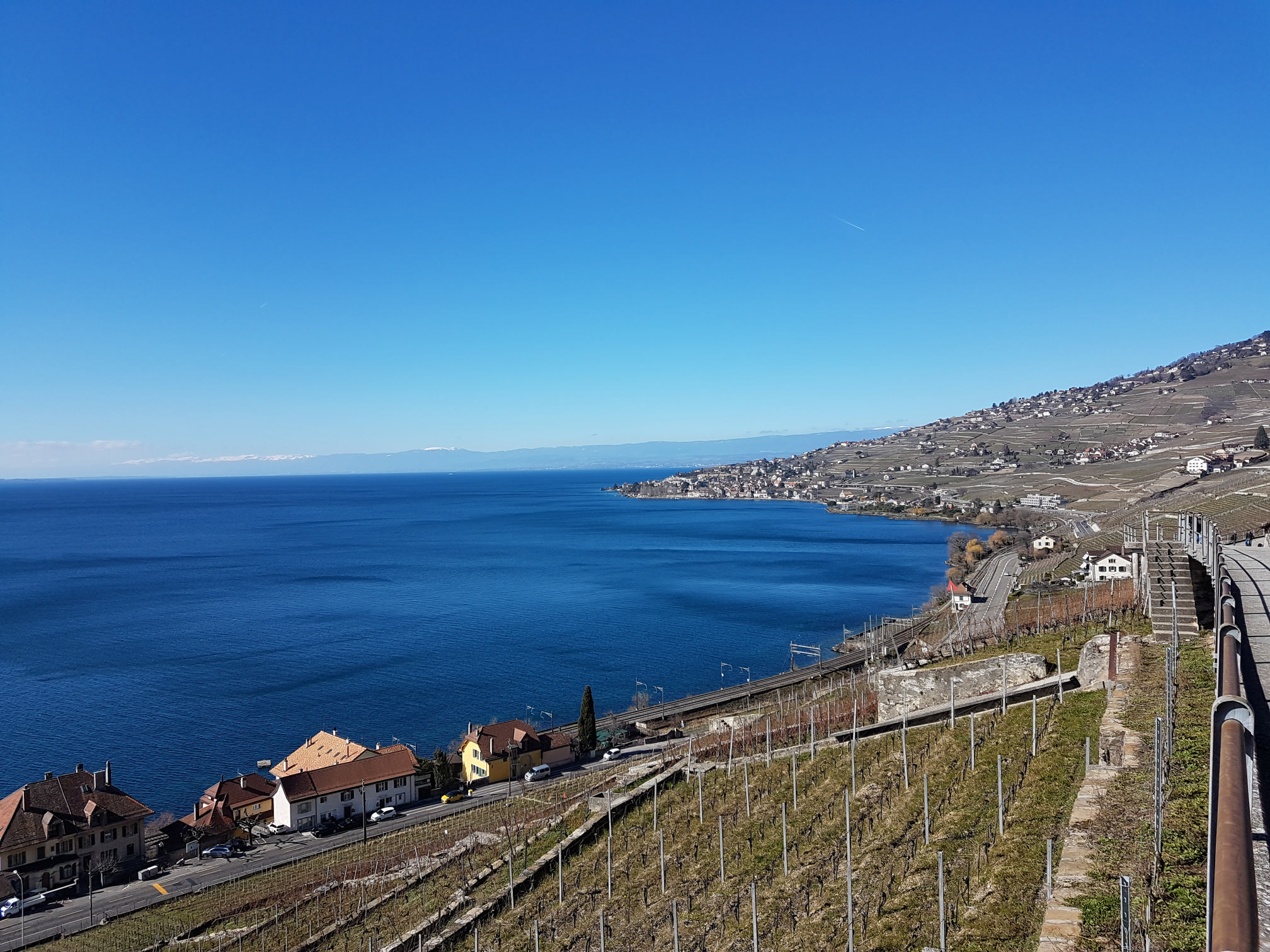 Le Lavaux de St-Saphorin à Lutry
