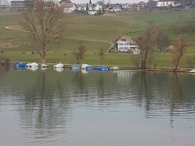 En face Wohlen bei Bern