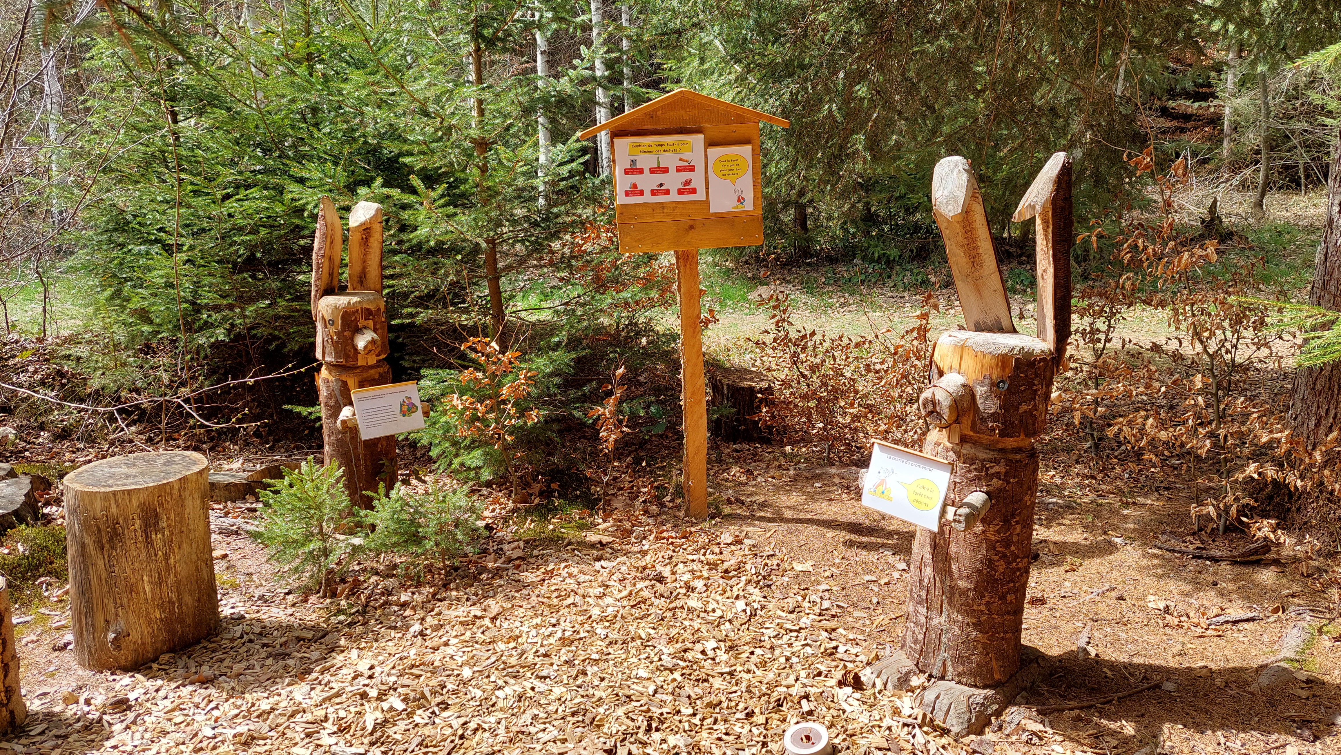 Sentier mycologique didactique
