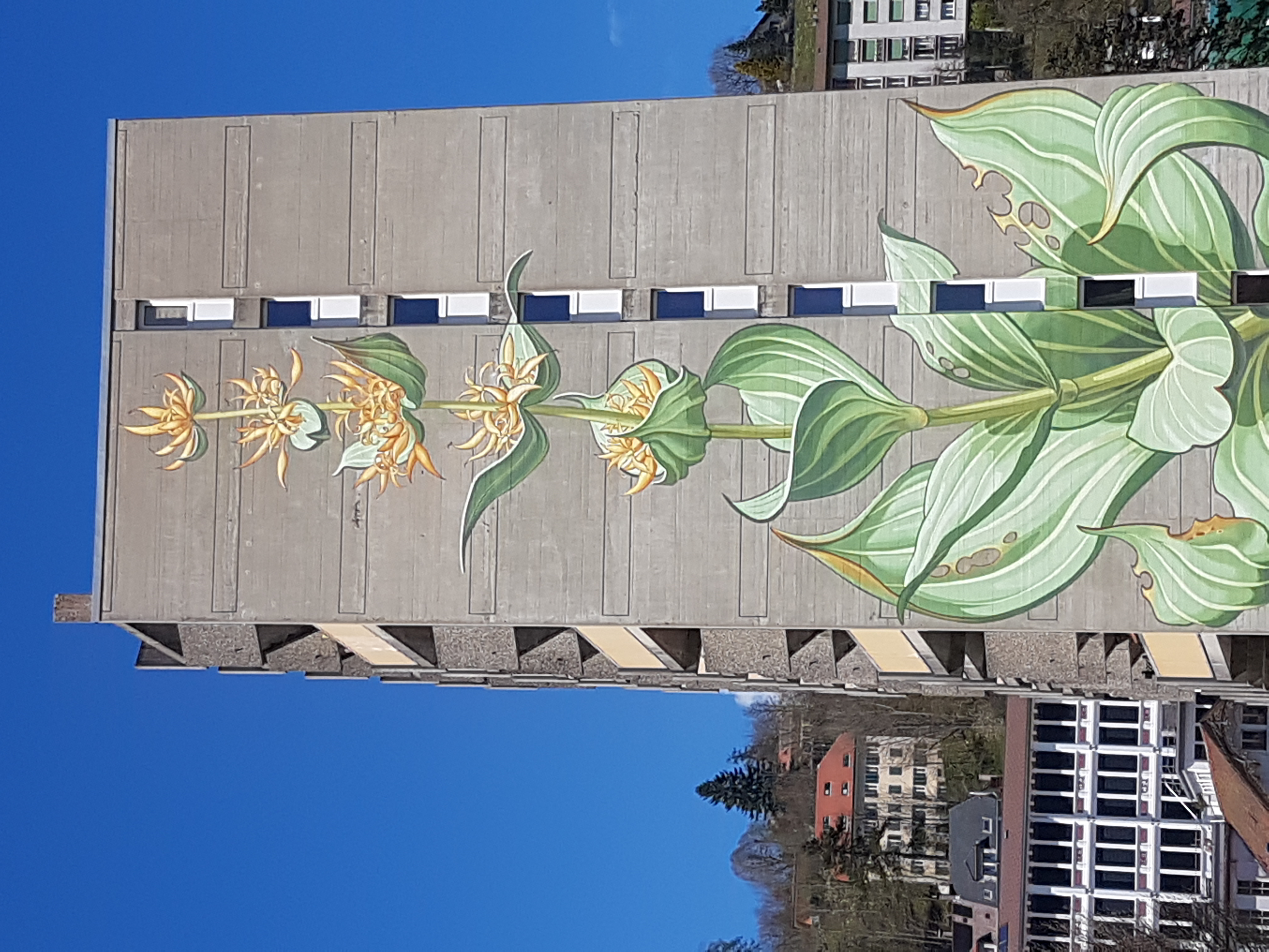 Le Locle, Art Urbain