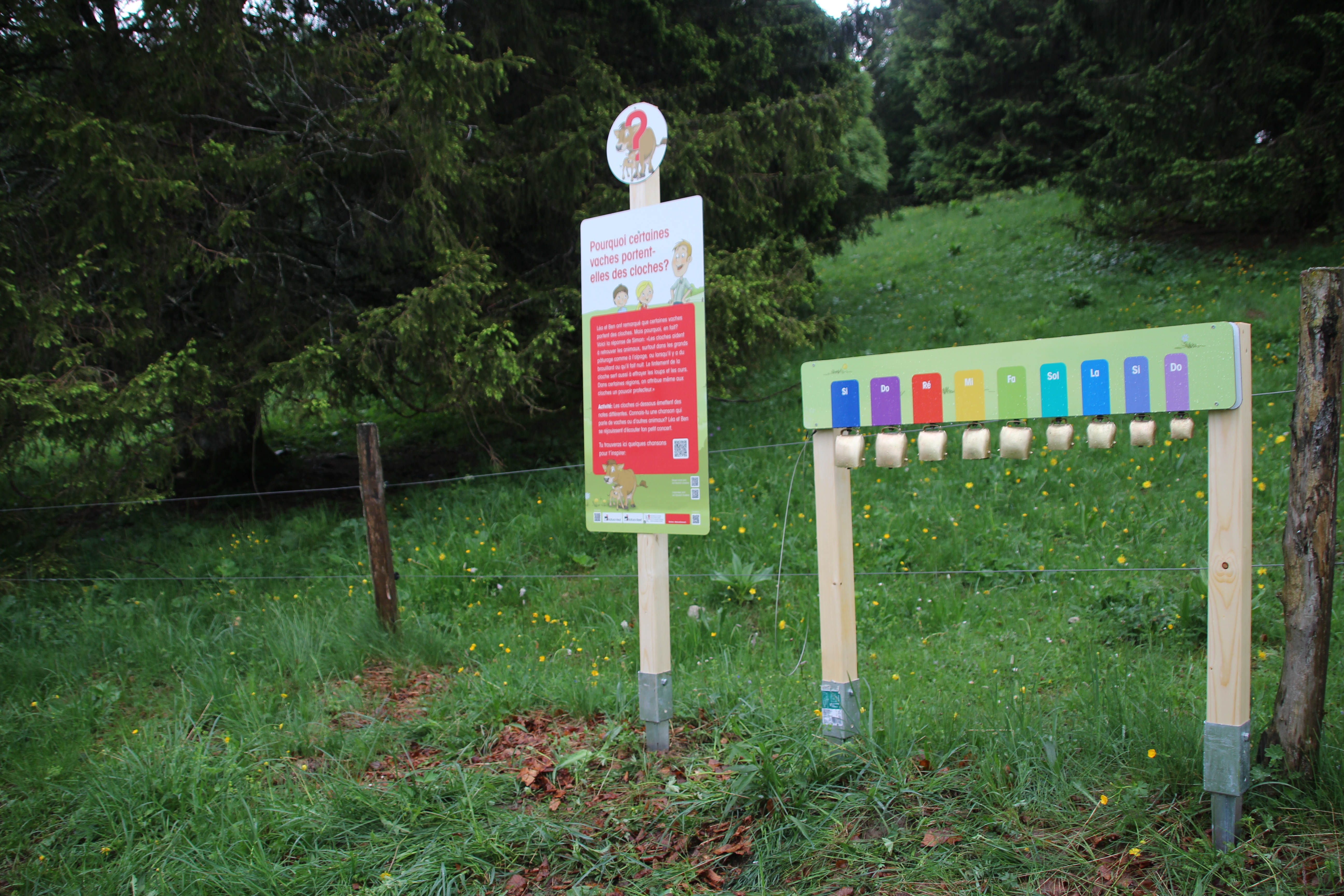 Sentier Découverte - Léa et Ben chez les vaches allaitantes