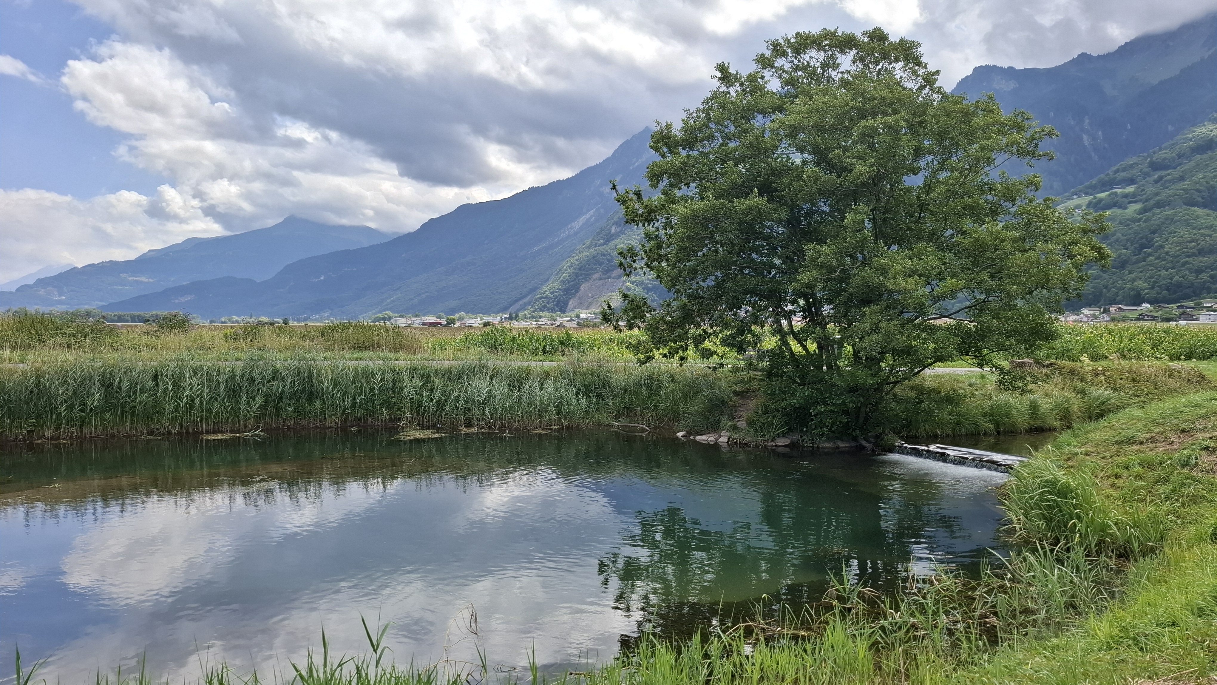 Entre l'Avançon et le torrent de Mayen