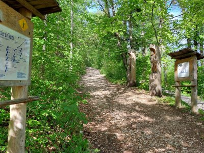 <p>A l'arrivée du Sentier du Temps, au Vallon de l'Ermitage</p>