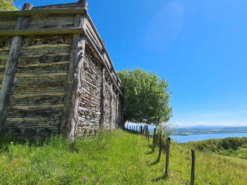 Sentier Historique du Vully