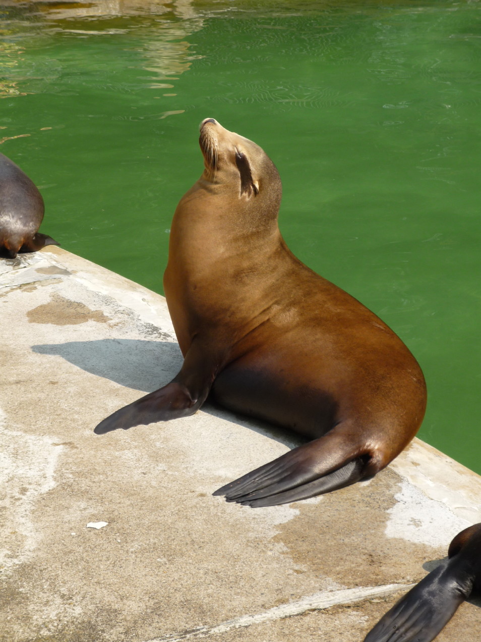 Zoo de Bâle