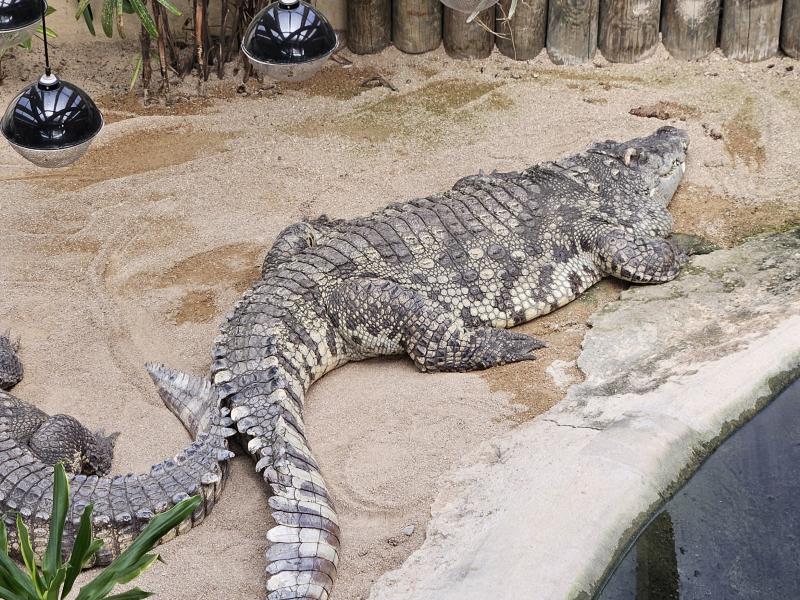 Zoo de Servion et Tropiquarium