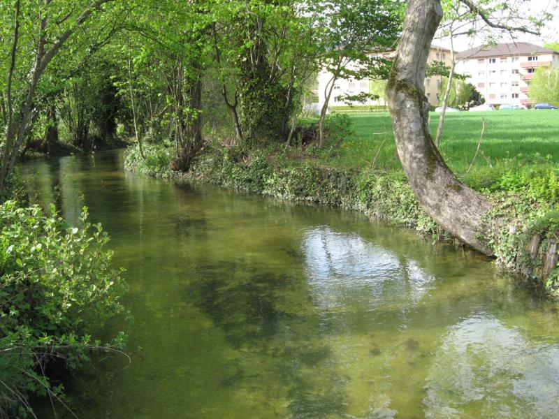 Cortaillod et l'Areuse