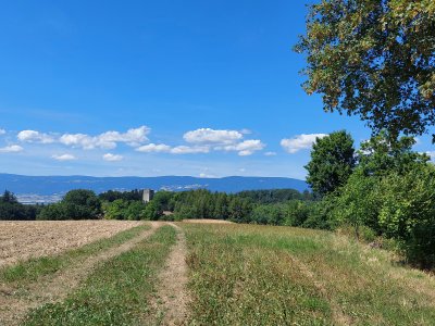 <p>Coup d'il sur la tour, en arrivant depuis Chêne-Pâquier</p>